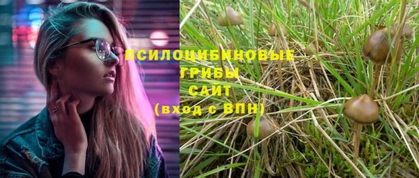 бошки Абдулино